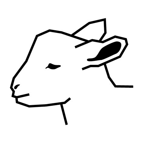 Lamsvlees uit Texel & Nieuw Zeeland